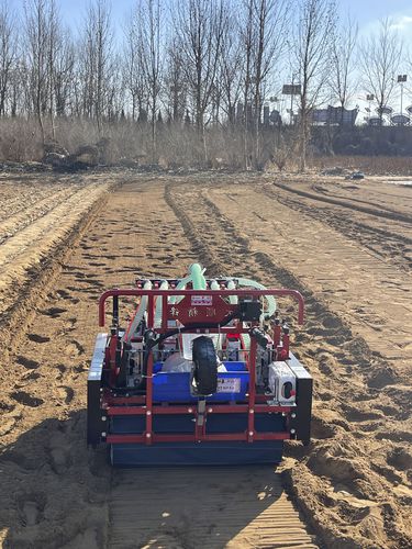 气动精密播种机 - 2BSG-6H - Qingdao Dashun Jingfeng Agricultural Machinery Co., Ltd. - 6行 / 蔬菜 / 手推自行式