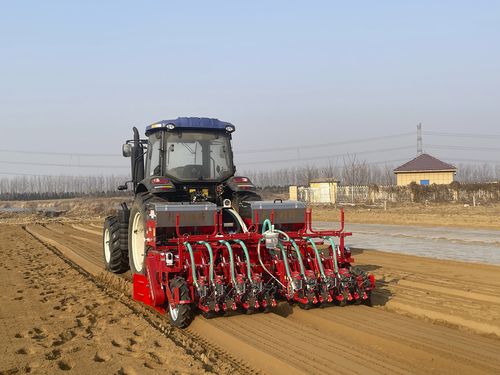气动精密播种机 - 2QS-8H2L - Qingdao Dashun Jingfeng Agricultural Machinery Co., Ltd. - 8行 / 蔬菜 / 三点悬挂