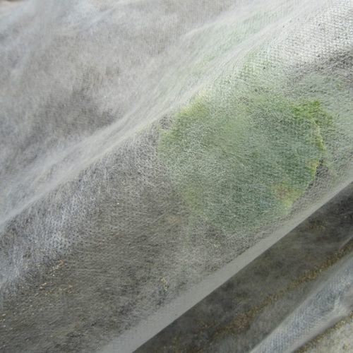 热式防护罩 - COTEXA - 温室 / 防紫外线 / 无纺布
