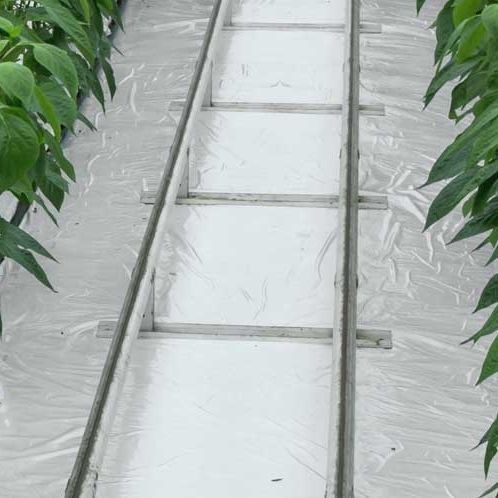 温室篷布 - GLAESERgrow - 塑料 / 防紫外线 / 白色