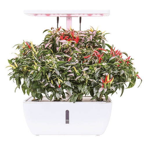 自动化水培系统 - CHLOE  - Resyx GmbH - Litrax - 室内 / 用于花园