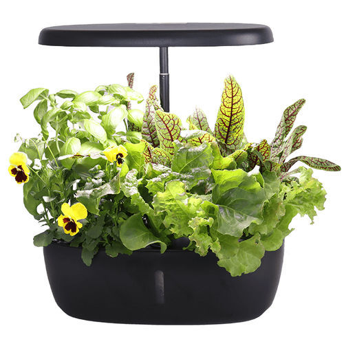 自动化水培系统 - GIORGIA  - Resyx GmbH - Litrax - 室内 / 用于花园