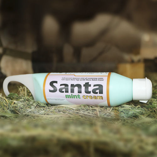 乳房乳液 - Santa Mint Cream - Sanigma Dis. Tic. Ltd. Sti.