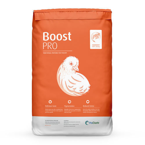 家禽饲料补充剂 - Boost PRO - ProChaete Sea Farms Nutrition Ltd. - 动物 / 蛋白质 / 增强食欲