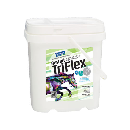 动物饲料补充剂 - Restart® TriFlex - TechMix Europe - 马用 / 用于免疫系统 / 用于关节健康