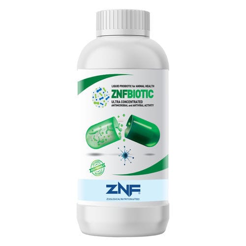 抗菌饲料添加剂 - BIOTIC - ZNF Besin Maddeleri San. ve Tic. A.S. - 家禽