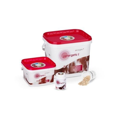 生长促进剂饲料添加剂 - penergetic t - Penergetic International AG - 家禽 / 猪 / 牛