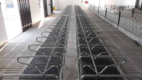 牛舍隔栏 - TUGRA Çiftik Ekimanlari Tarim Hayv. San. ve Tic. Ltd. Sti.