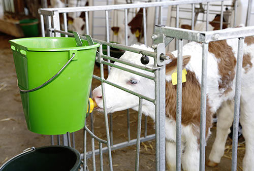 犊牛饲料桶 - Milk’n’Roll Calf Management Solutions - 多入口