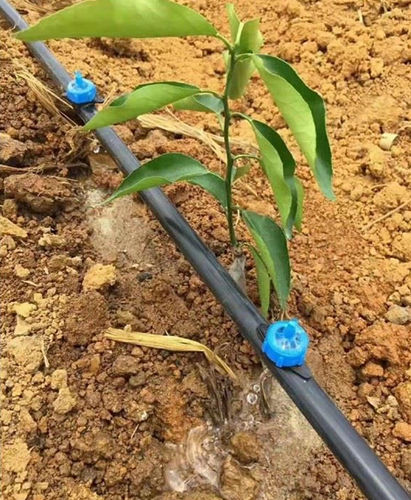 落地式滴灌系统 - Yibiyuan Water-saving Irrigation Technology Co., Ltd.