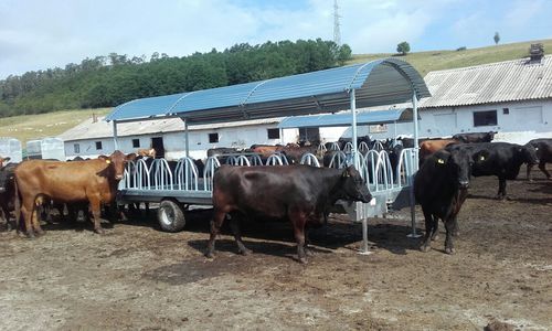 牛草料架 - EXTA41.6110 - AHI - FARM CAMARA - 不锈钢 / 多入口 / 拖挂式