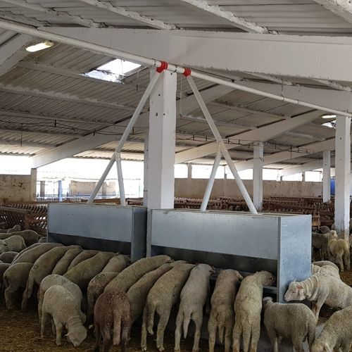 羔羊漏斗喂食器 - FEEE21,CH2000 - AHI - FARM CAMARA - 不锈钢 / 镀锌钢 / 多入口