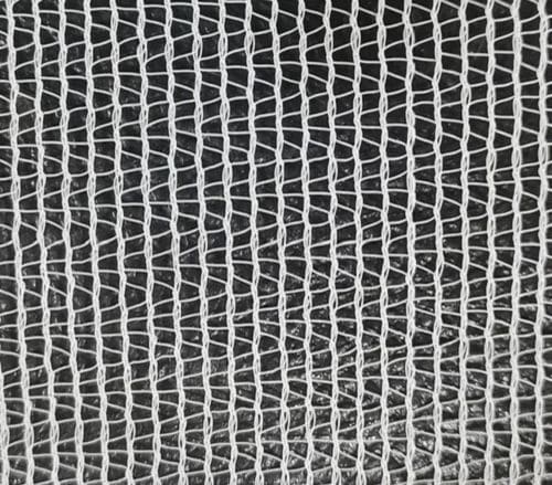 防虫网 - Dongshen - HDPE / 农作物 / 编织