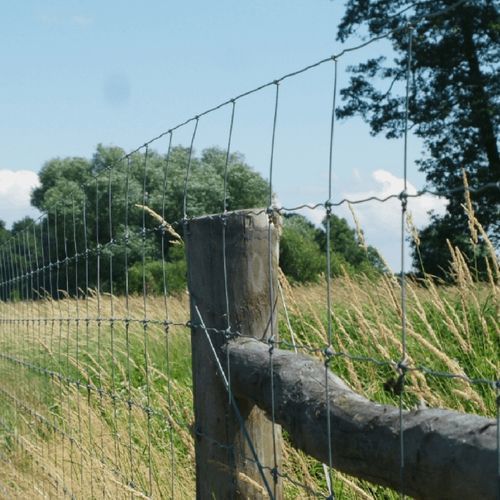 围栏桩 - Z POST 260cm - Farmmesh - 金属 / 葡萄园 / 果园