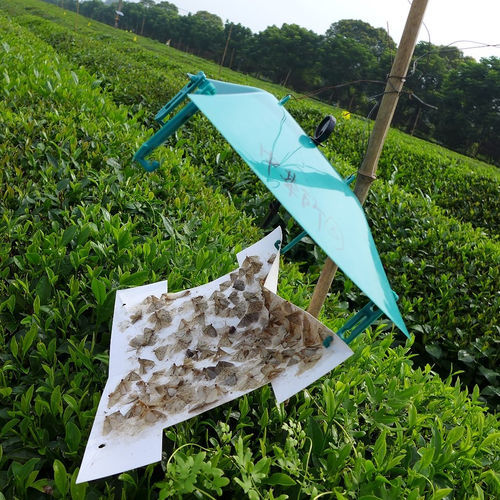 昆虫防虫害陷阱 - Hangzhou Yeehar Agricultural Technology co., Ltd - 信息素 / 农作物 / 害虫防治