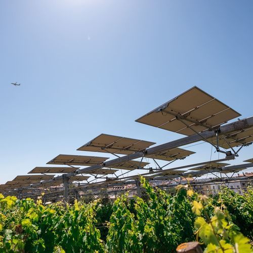 农作物农光互补结构 - Agrovoltaico® 3D/2D - REM TEC SRL