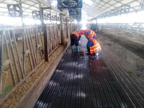 橡胶地垫 - Nanjing Bonzer Rubber & Plastic Co., Ltd. - 用于养牛场 / 防滑 / 凹凸