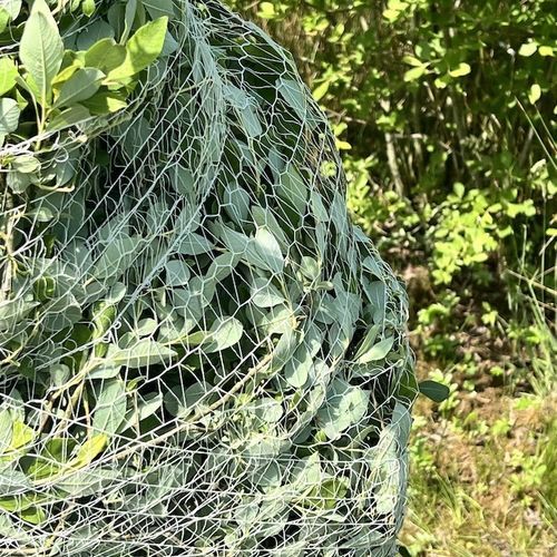 防护网 - Naturnetz GmbH - 农用 / 用于温室