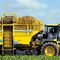红甜菜收割机TIGER 6SROPA Fahrzeug- und Maschinenbau GmbH