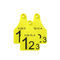 牛耳标T921-0005Wuxi FOFIA Technology Co., Ltd.