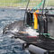 浮动鱼类养殖网箱THE 500Hvalpsund Net a/s