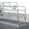 防压保护栏母猪产仔栏LIFT CRATECanarm AgSystems