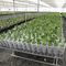塑料植物支撑架WPS