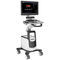 便携式、推车兽用超声诊断仪QBit 9Chison Medical Imaging