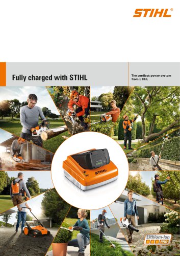 cordless power system