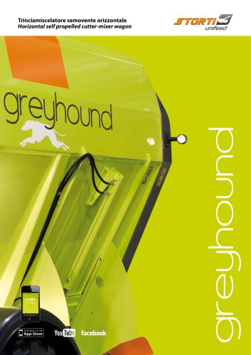 Greyhound