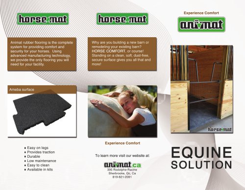 Equine solution