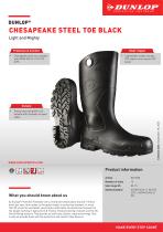 Chesapeake steel toe Black