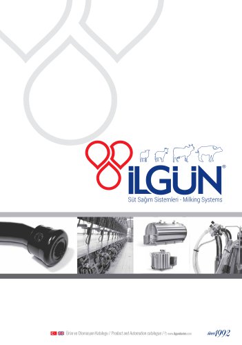 ilgun katalog