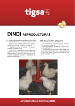 DINDI BREEDERS