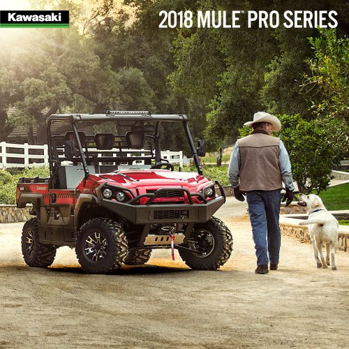 2018 MULE PRO SERIES