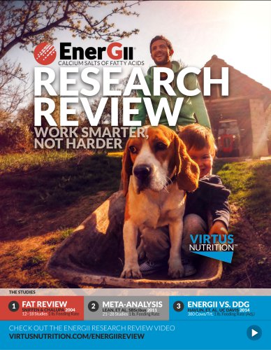 EnerGII Research Review