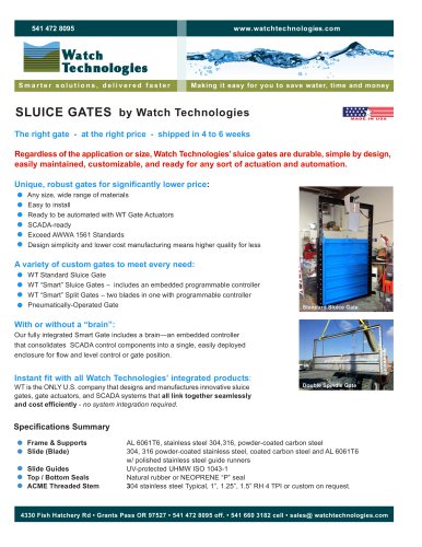SLUICE GATES