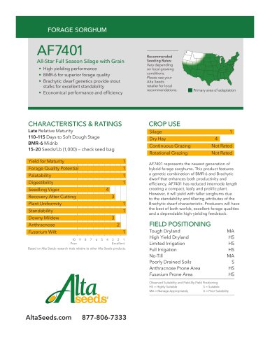 AF7401