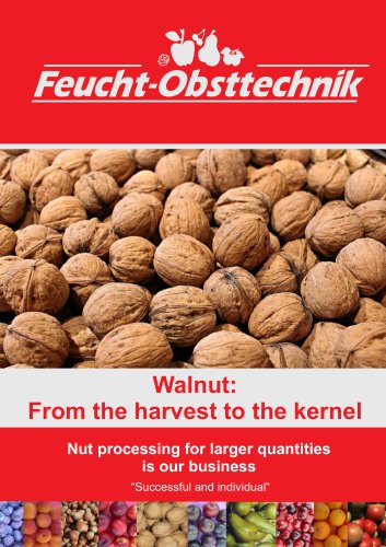 Walnut