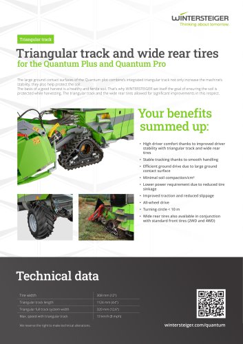 Triangular track
