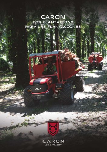Palm Oil