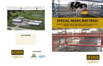 Special Needs Mat Brochure