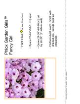 Phlox Garden Girls™ Fancy Girl