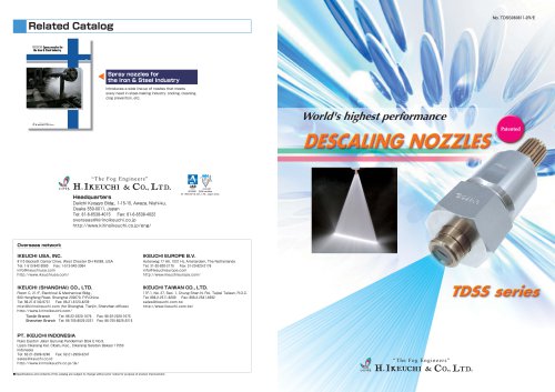 Descaling Nozzles - TDSS series