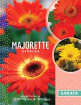 MAJORETTE GERBERA