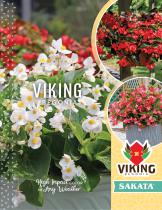 VIKING® BEGONIA