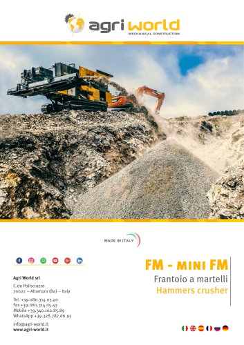 FM - mini FM