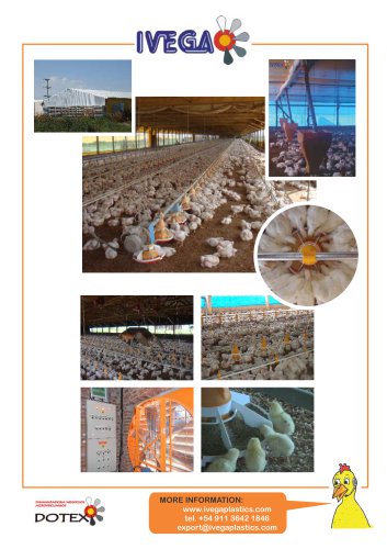 AUTOMATIC-FEEDERS-BROILERS