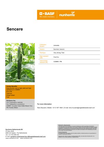 Sencere