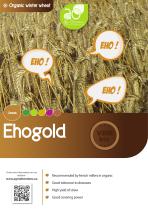 EHOGOLD